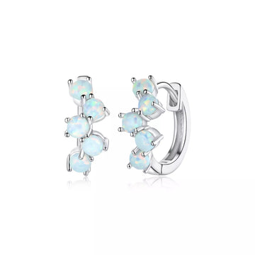 Cercei din argint Color Crystals Hoops, Argint 925, Pentru Femei